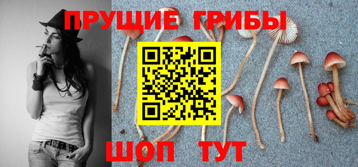 Галлюциногенные грибы прущие грибы Лангепас