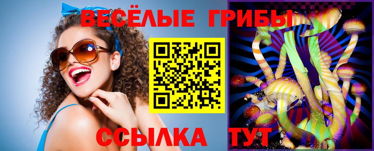 Лангепас  Псилоцибиновые грибы Psilocybe  Вход с VPN 